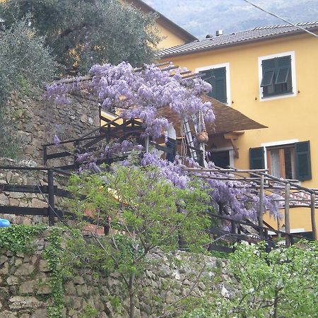 Lorsica Agriturismo Il Sogno מראה חיצוני תמונה